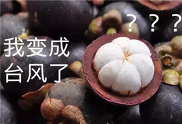 “山竹”還未走遠，但貝朗全自動彎線機已正常上班啦！
